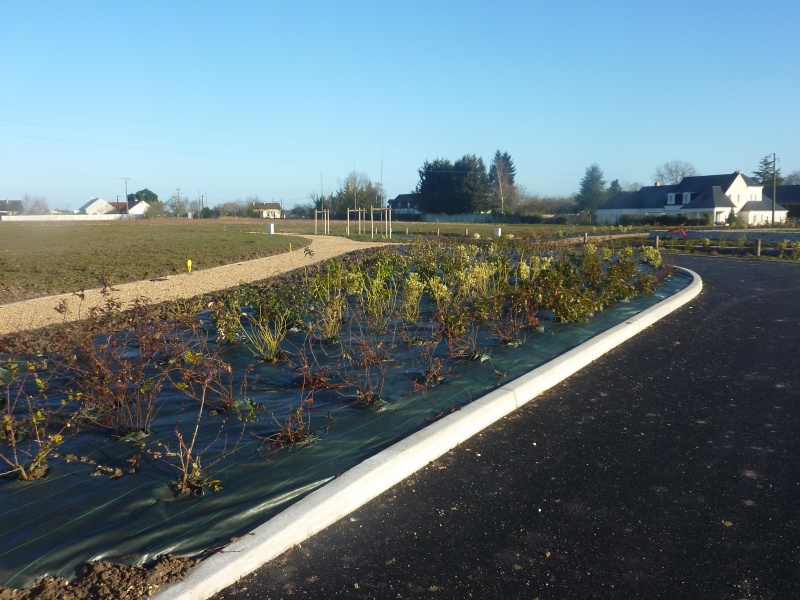 Photo du lotissement 3