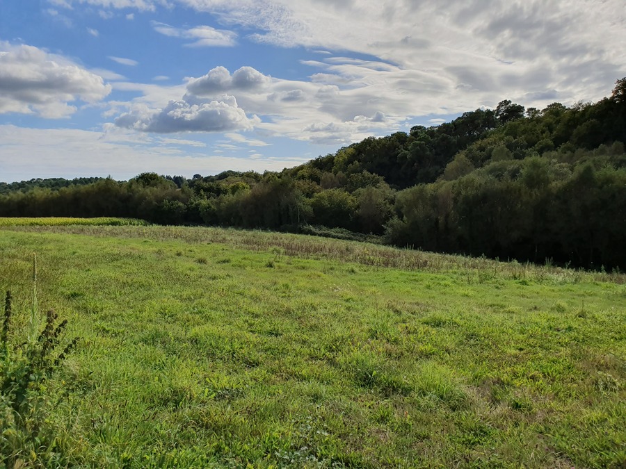Photo du lotissement 1