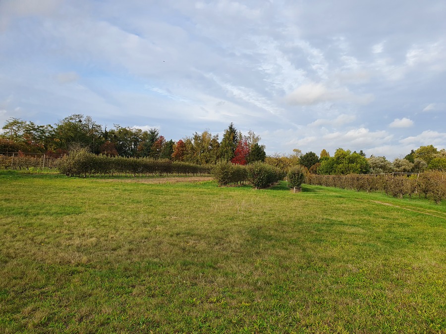 Photo du lotissement 1