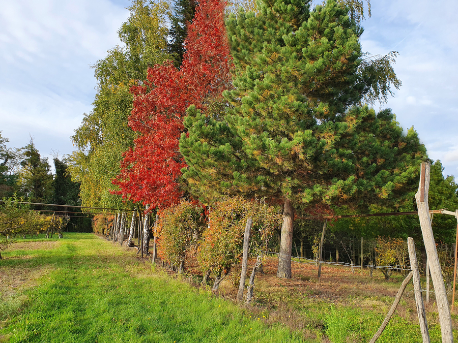 Photo du lotissement 3