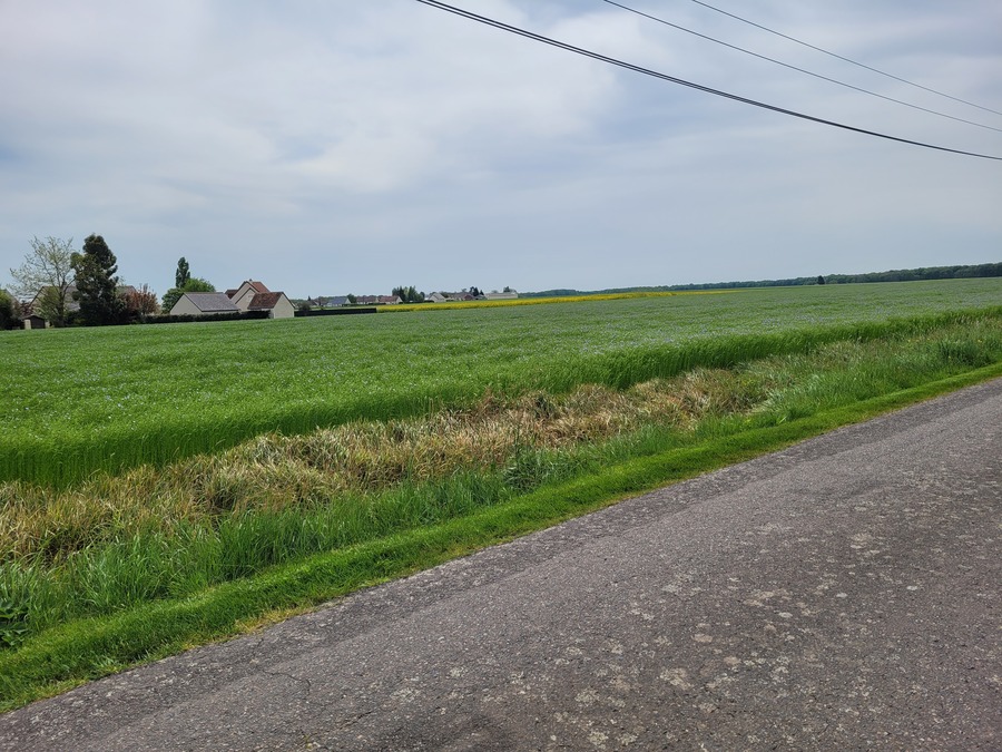 Photo du lotissement 1