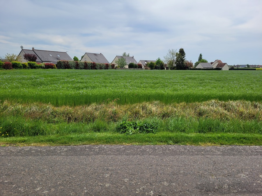 Photo du lotissement 2