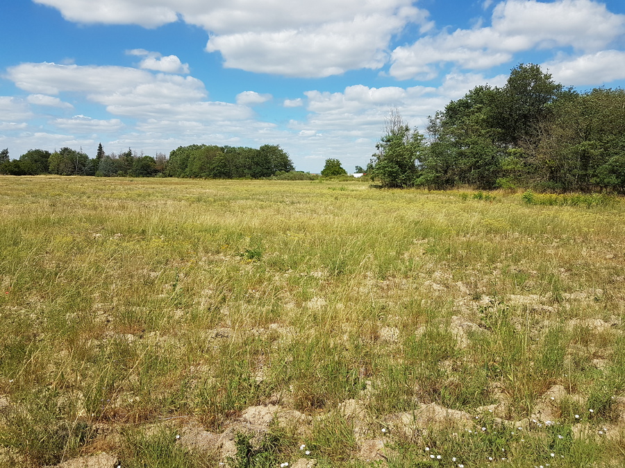 Photo du lotissement 1